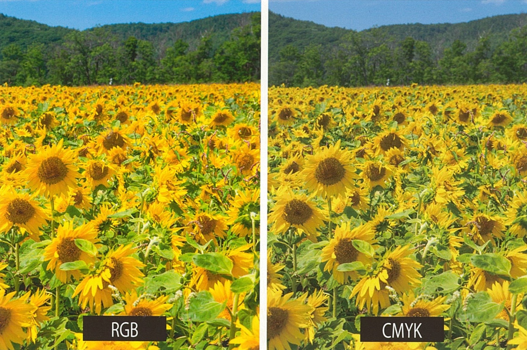 RGB_CMYK.jpg